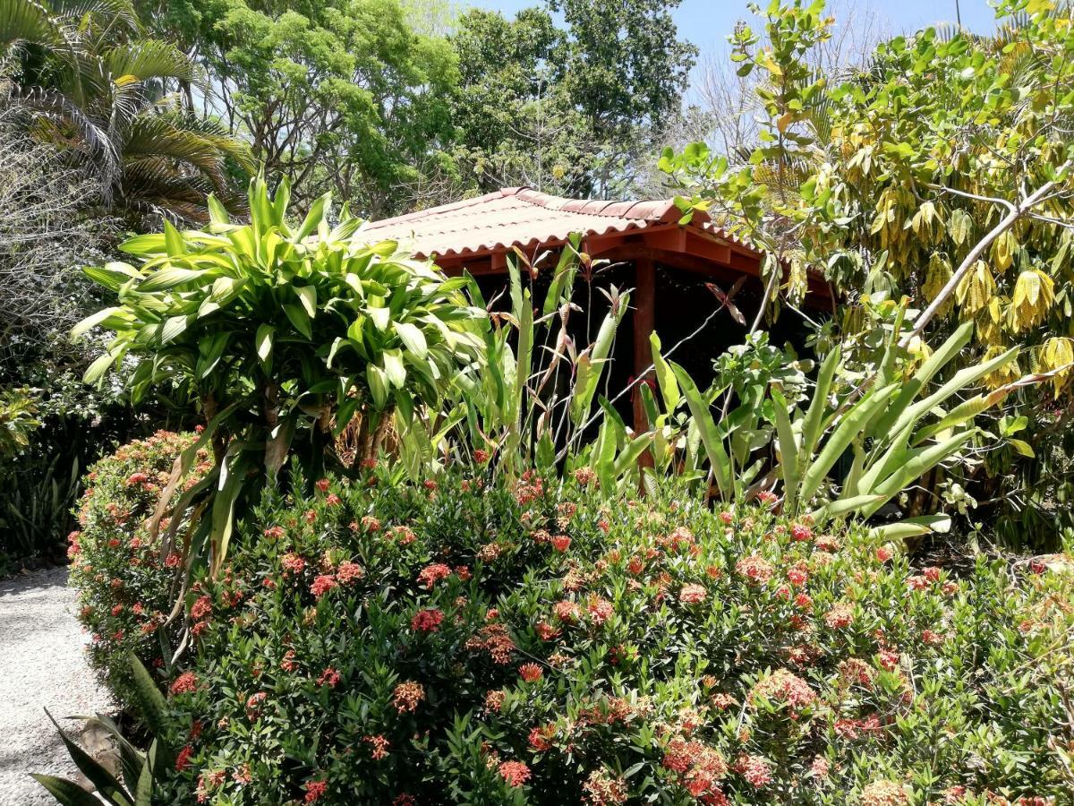 Bed and Breakfast Mundo Goub'Art Cabuya  Экстерьер фото