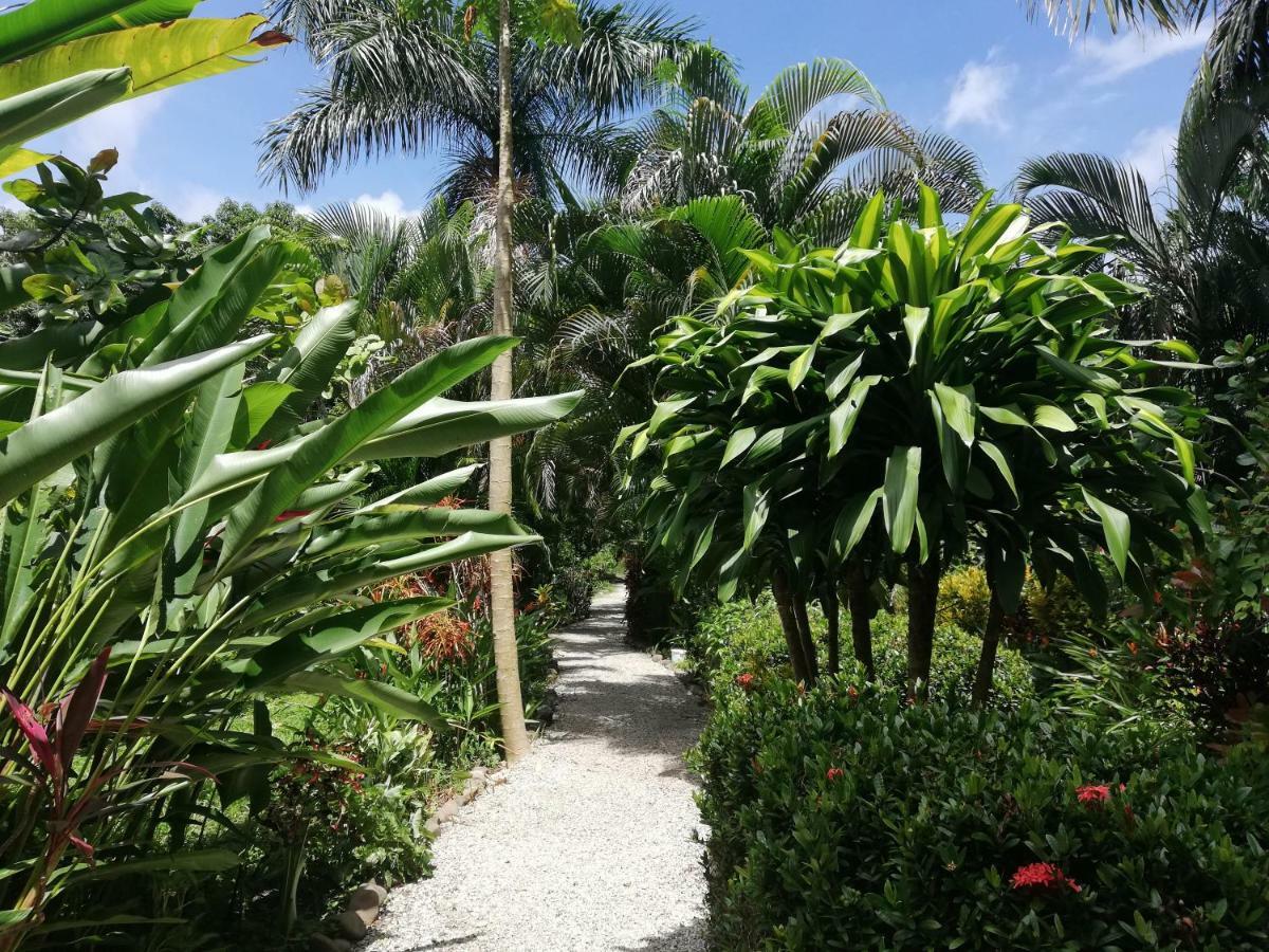 Bed and Breakfast Mundo Goub'Art Cabuya  Экстерьер фото